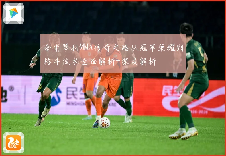 舍甫琴科MMA传奇之路从冠军荣耀到格斗技术全面解析-深度解析
