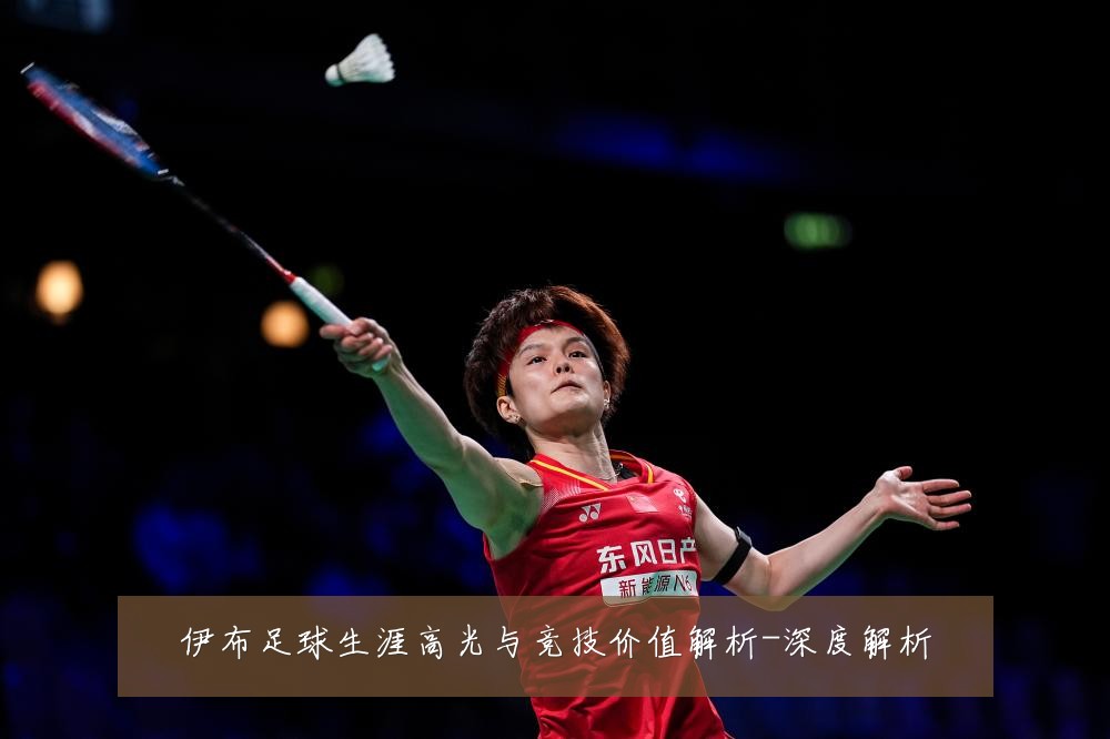 伊布足球生涯高光与竞技价值解析-深度解析