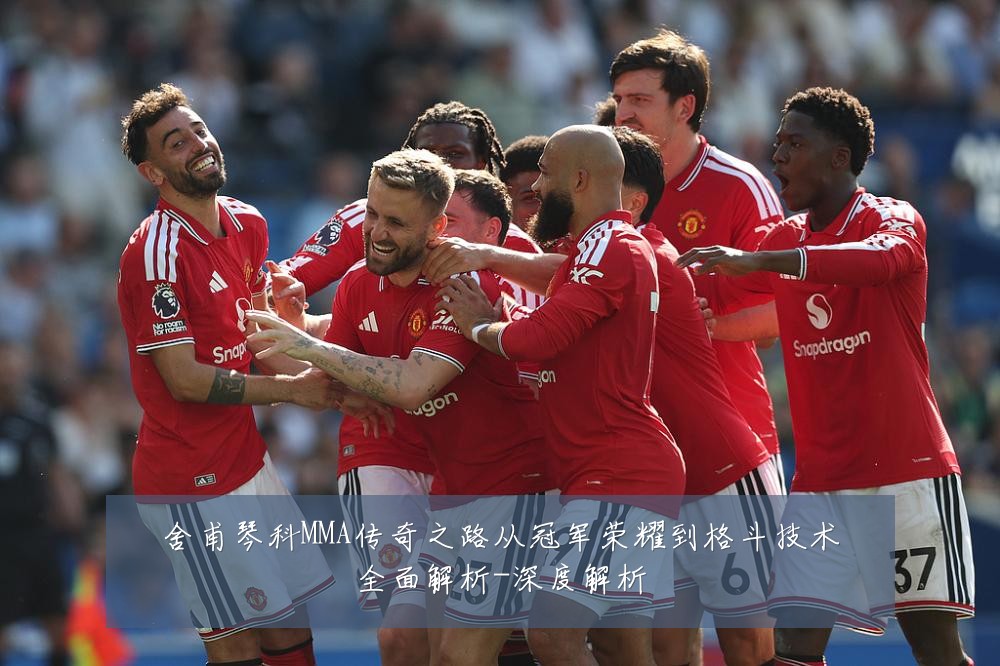 舍甫琴科MMA传奇之路从冠军荣耀到格斗技术全面解析-深度解析