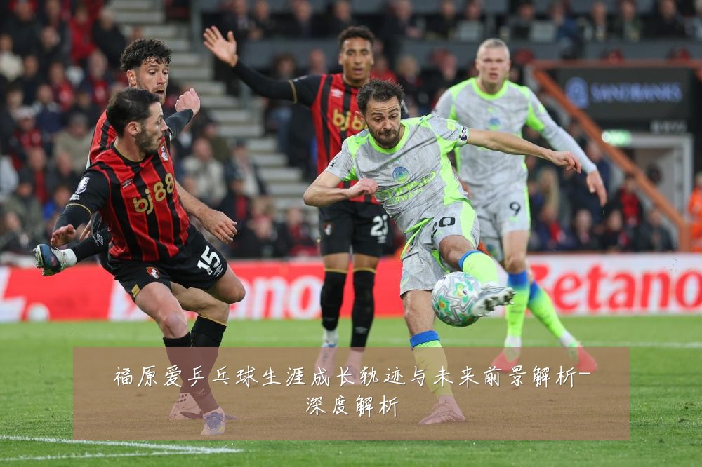 福原爱乒乓球生涯成长轨迹与未来前景解析-深度解析